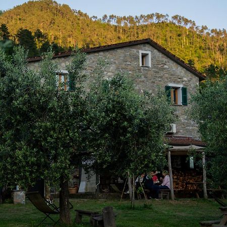 Agriturismo I Due Ghiri - Cinque Terre Calice al Cornoviglio Εξωτερικό φωτογραφία