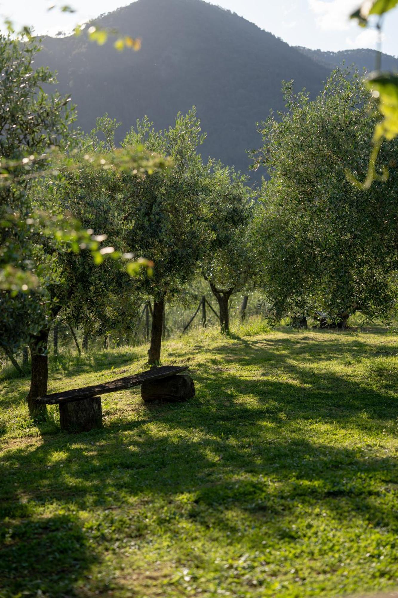 Agriturismo I Due Ghiri - Cinque Terre Calice al Cornoviglio Εξωτερικό φωτογραφία