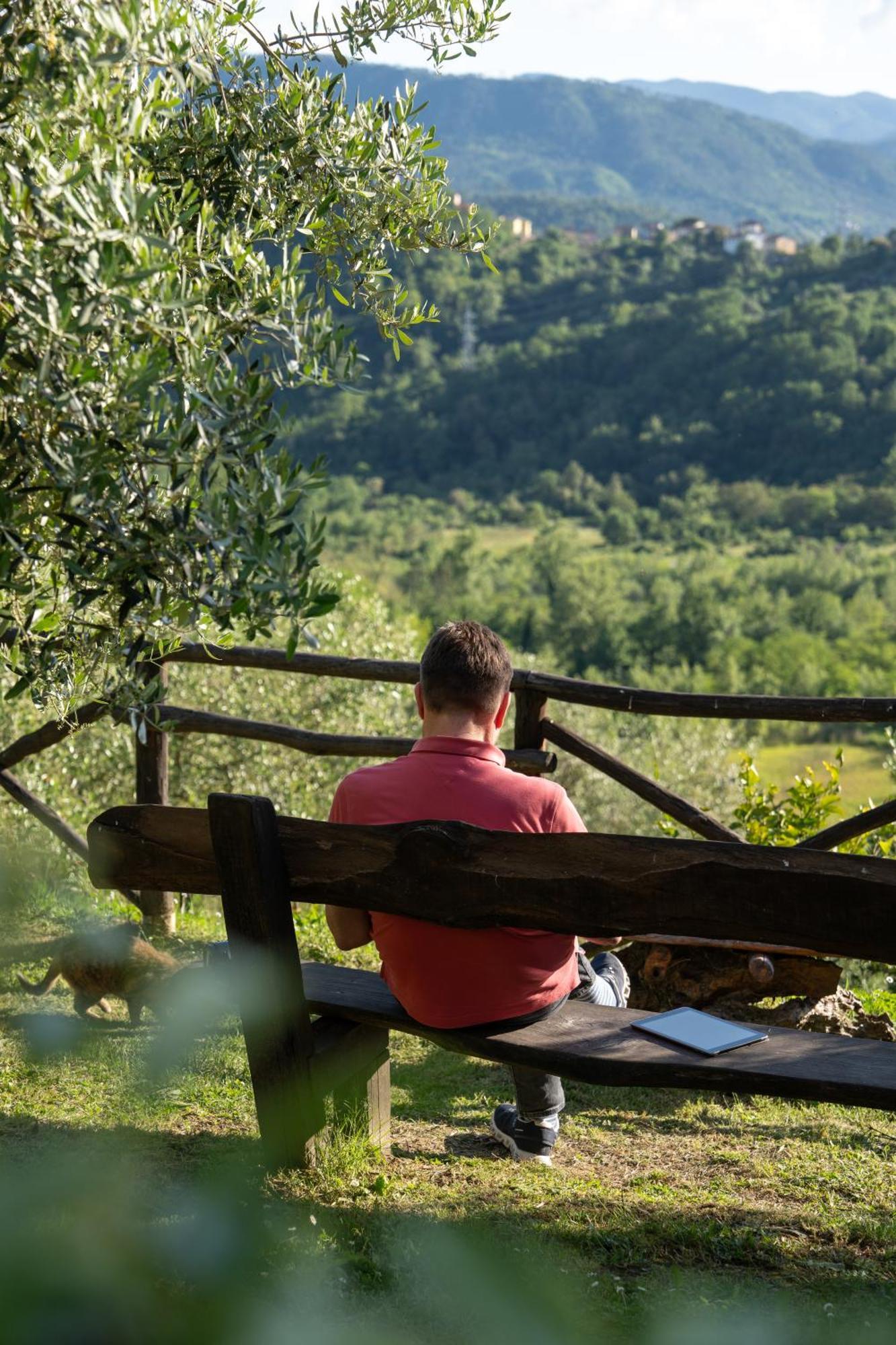 Agriturismo I Due Ghiri - Cinque Terre Calice al Cornoviglio Εξωτερικό φωτογραφία